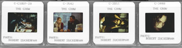 crowpksls.jpg - 18631 Bytes